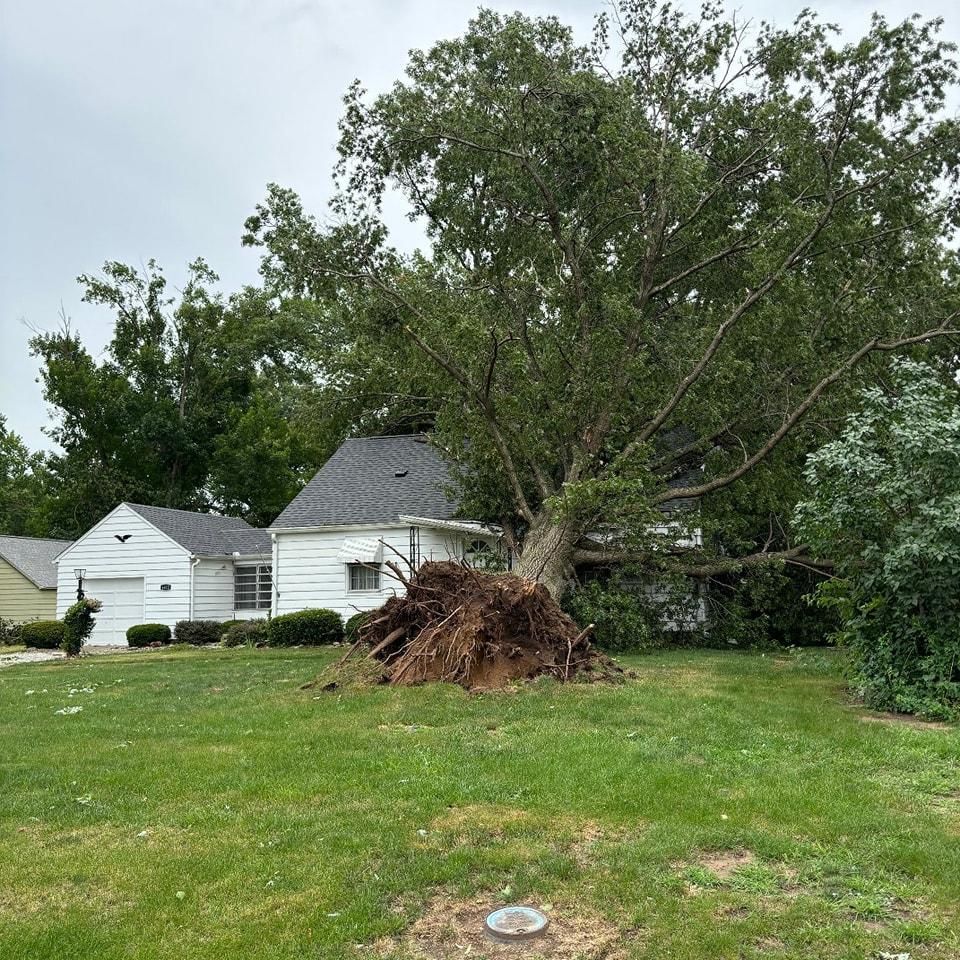 All Photos for JayTees Improvements in Indianapolis, Indiana