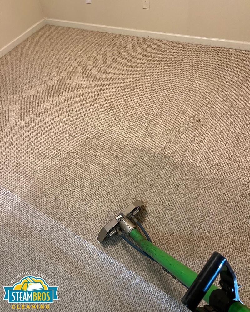 Carpet Cleaner for Steam Bros LLC in Greensboro, NC