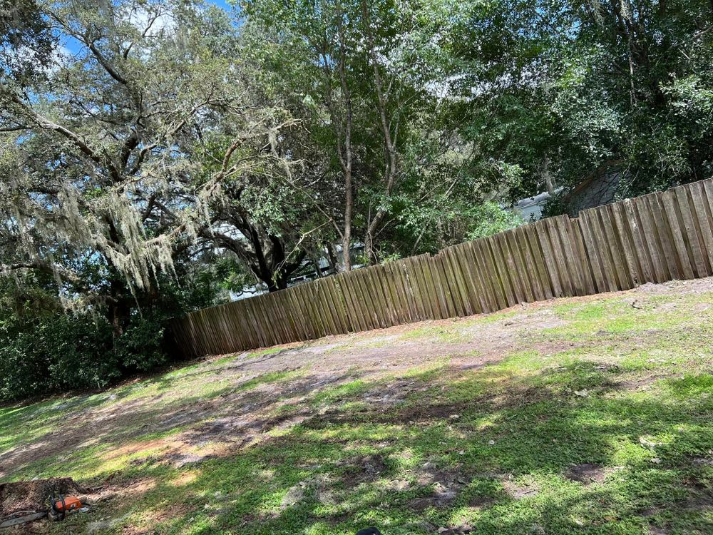 Lawn Maintenance for Duck's Lawn & Tree Service, LLC. in Lakeland, FL