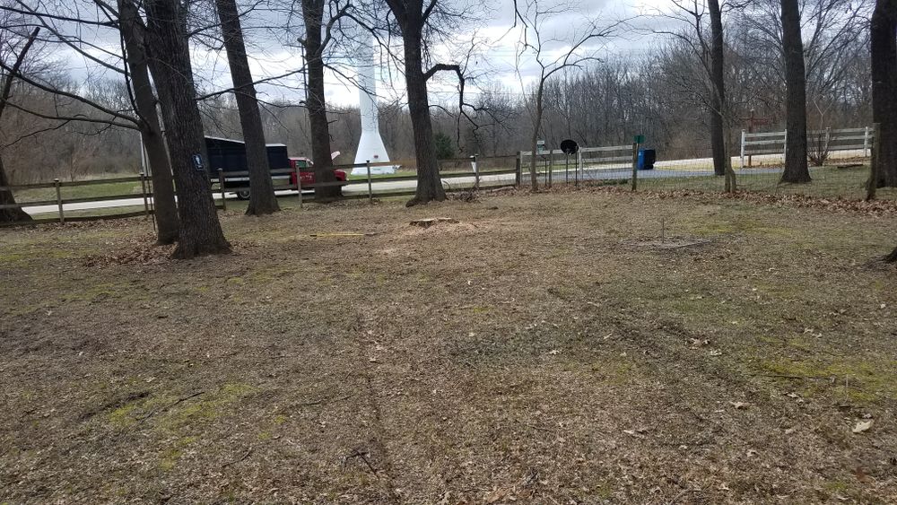All Photos for O&O Tree Service in Rockford, IL