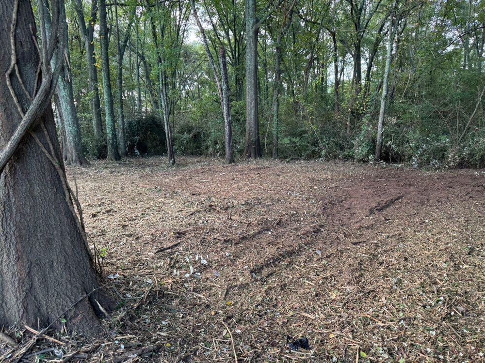 All Photos for KLNAX Enterprises in Newton County, GA