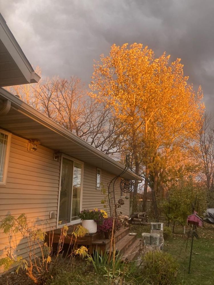 All Photos for Dan's Tree Service LLC in Bemidji, MN