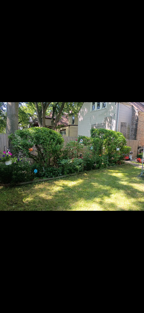 All Photos for Superior Lawn Care & Snow Removal LLC  in Chicago, IL