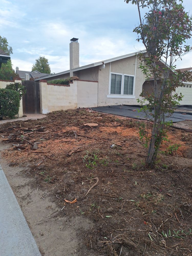 All Photos for Best Lawncare in Colton, CA