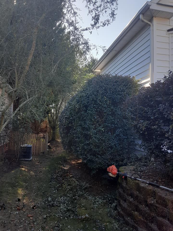 Our Shrub Trimming service ensures your landscape stays well-manicured and healthy, enhancing curb appeal and promoting plant growth. Let us shape your shrubs to perfection! for Oakhurst Landscaping and Tree Service in Charlotte, NC