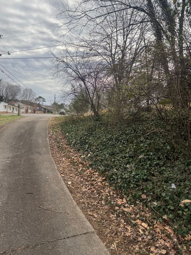 All Photos for R&M Property Maintenance in White Pine, TN