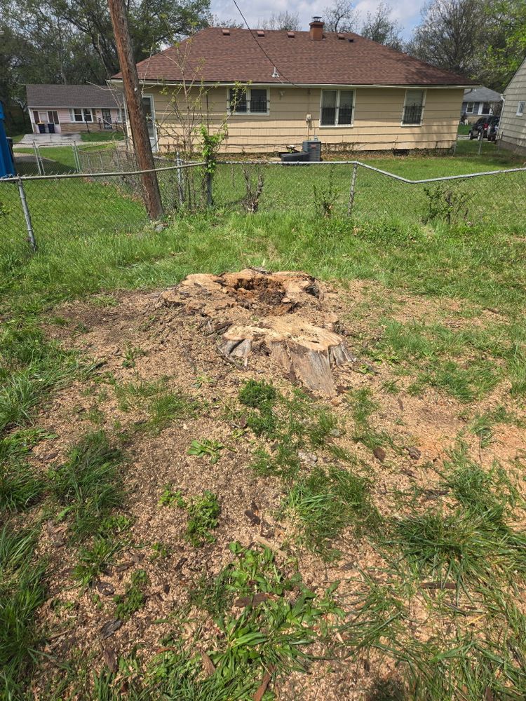 All Photos for Cross Family Tree Service in Kearney, MO