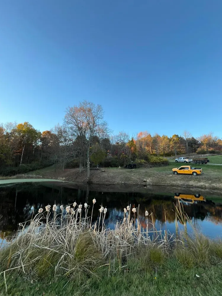 All Photos for Licensed to Cut Tree Service in Athens, PA