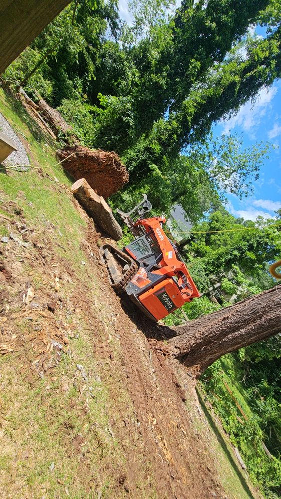 All Photos for Sasquatch Tree Services LLC in Spartanburg, SC