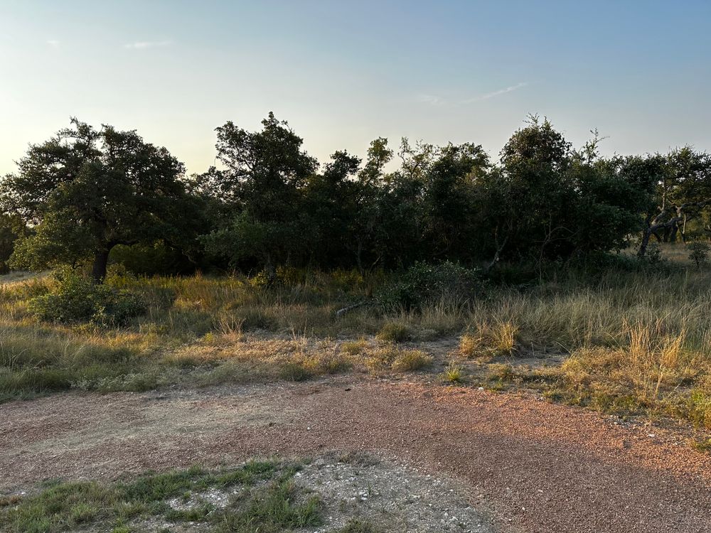 All Photos for 512 Land Clearing in Blanco County, TX