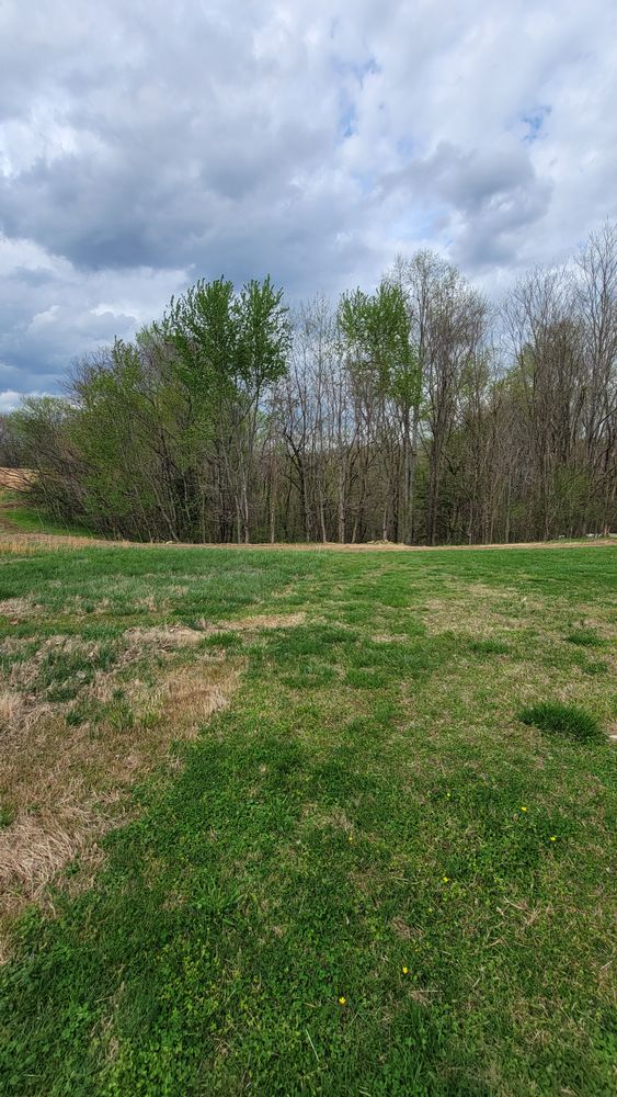 Land Clearing for Z's Land Management & Forestry Mulching in Smithville, TN