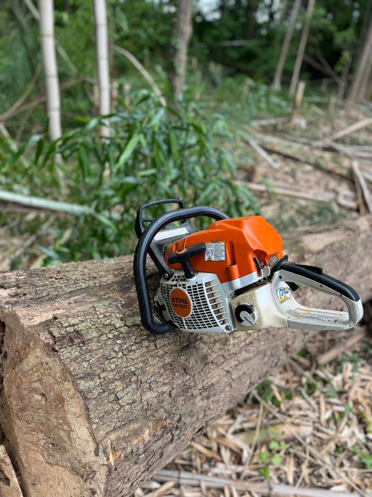 Meade tree service team in Greensboro, NC - people or person