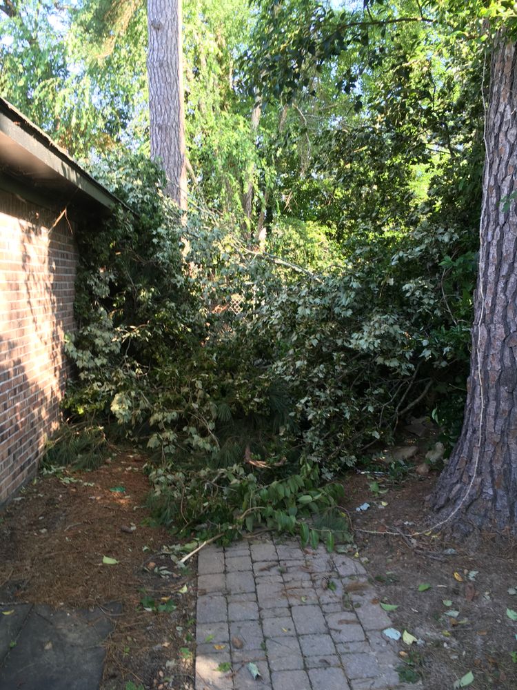 All Photos for Tucker's Tree Service and Stump Grinding in Lugoff, SC