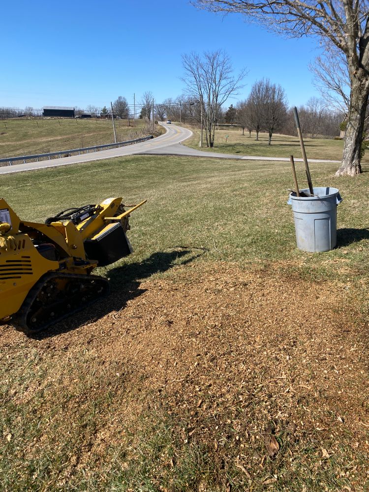 All Photos for Houtz Tree Service in Lexington, KY