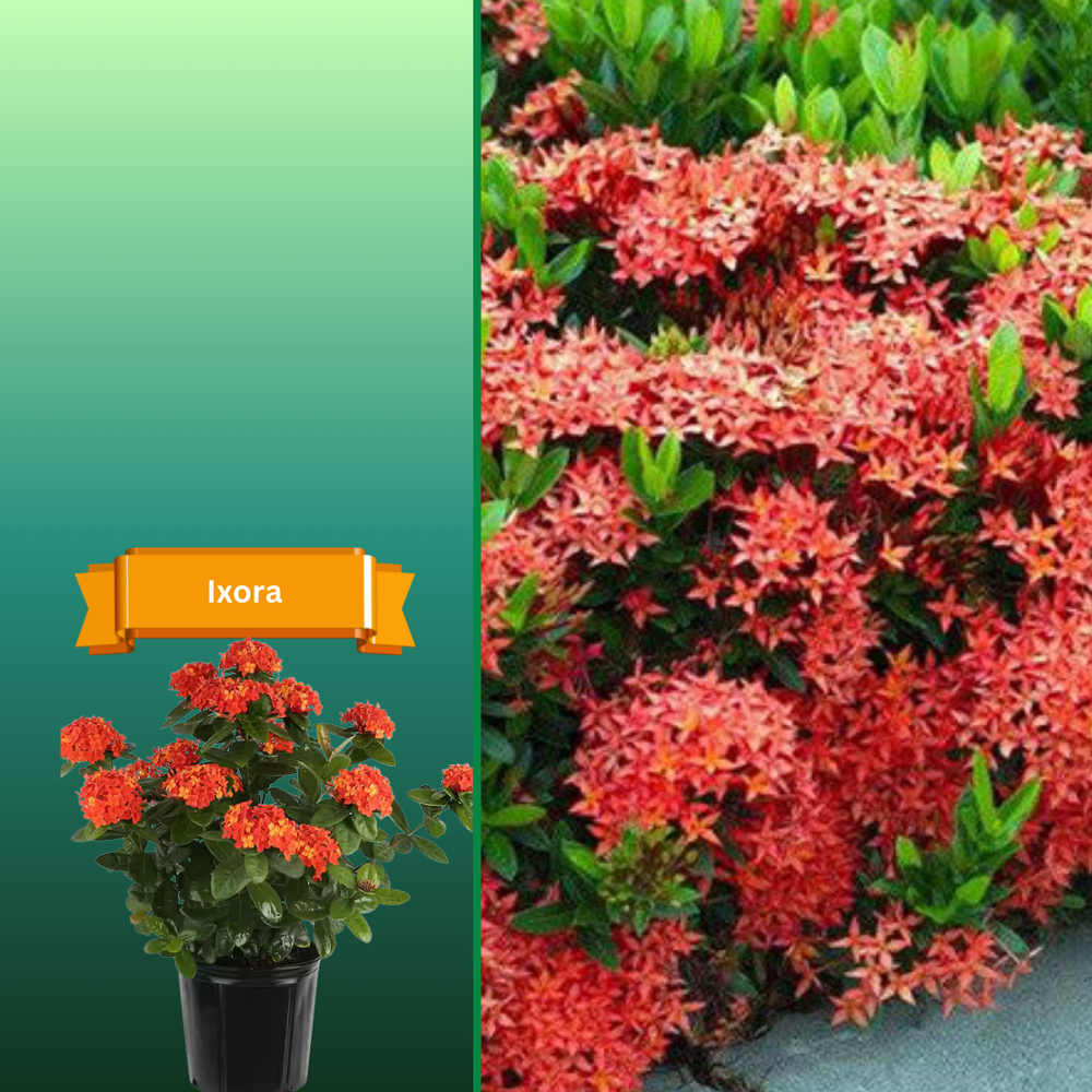 All Photos for R.B. & Company in Belleview, FL