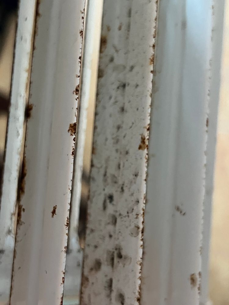 All Photos for N&D Restoration Services When Disaster Attacks, We Come In in Cape Coral,  FL