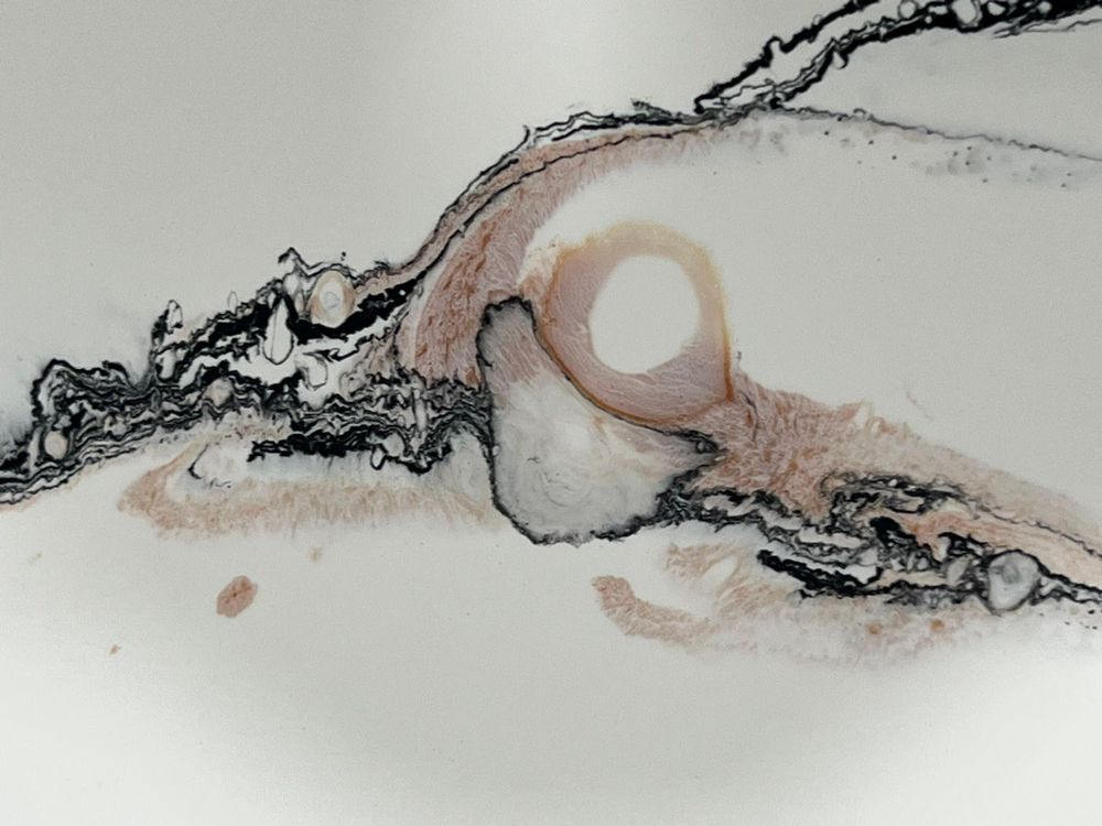 All Photos for Whitfield Concrete Construction in Solsberry, IN