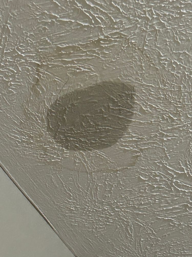 All Photos for Primetime Roofing  in Winchester, KY