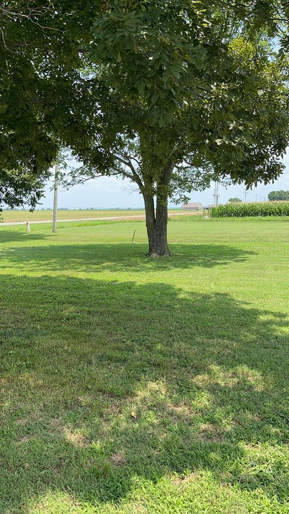 Mowing for Delta Outdoors and Landscaping in Cooter, MO