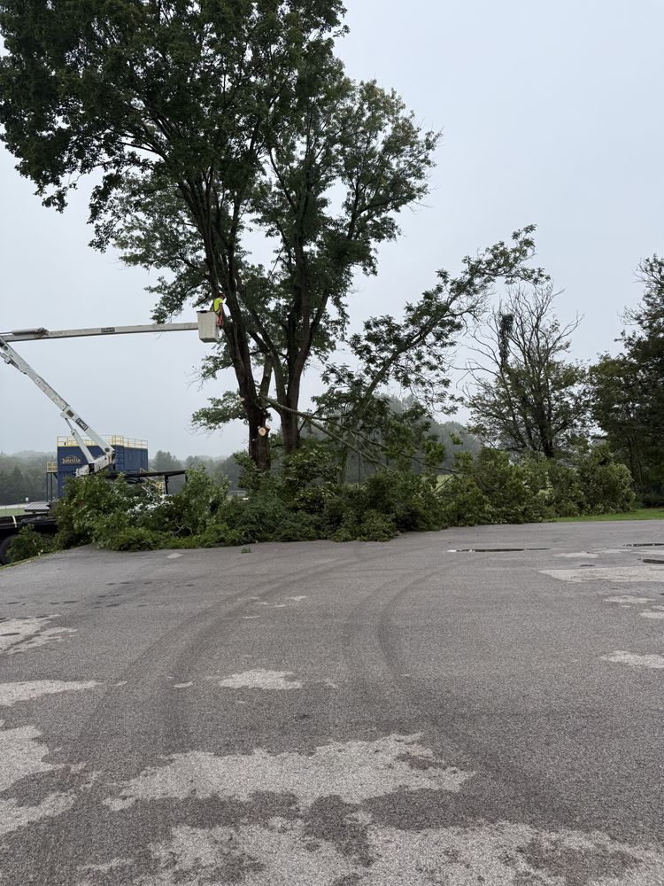 All Photos for Lightning Tree Service in Corydon, IN