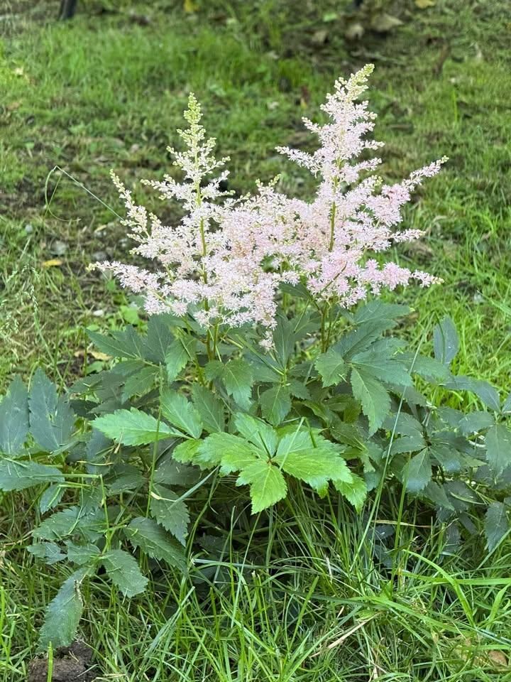 All Photos for Ardisi Landscaping & Design in Poughkeepsie, NY 