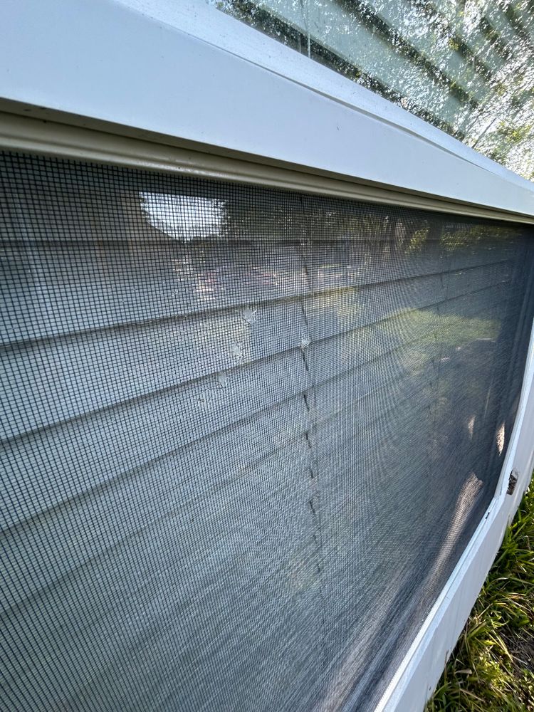 All Photos for Project Masters Group in Tampa, FL