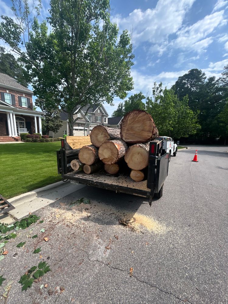 All Photos for AB Tree Service in Raleigh, NC