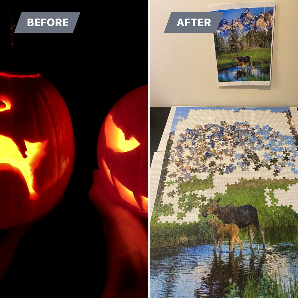 All Photos for Dumbo's Doggy Doors in City of Sammamish, WA