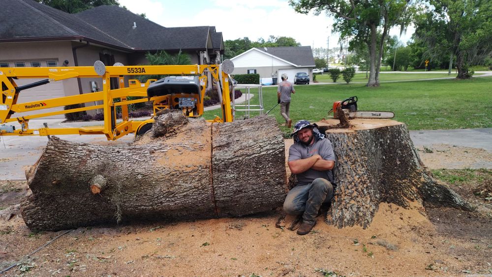 Tru Tree Service  team in Ocala , FL  - people or person