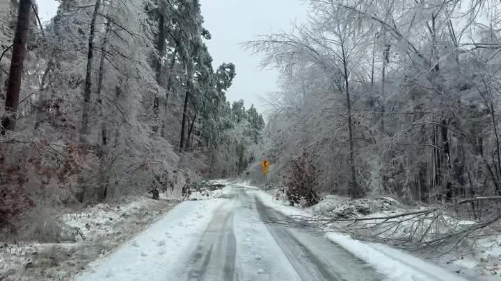 All Photos for Ross Family Tree Service LLC  in Hohenwald, TN