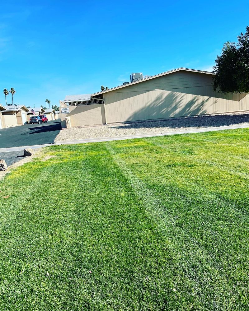 Lawn maintenance for American Dream Landscape Company in Surprise, AZ