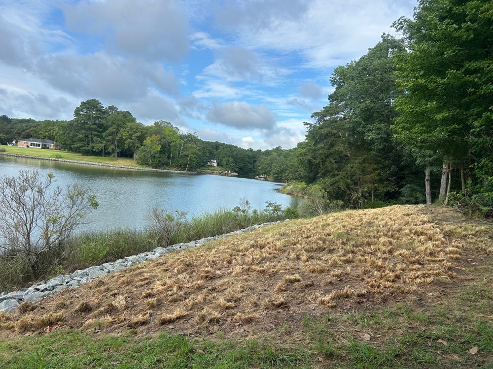 Transform your property's riverside with our River Bank Clearing service. We enhance safety and aesthetics by removing debris, controlling erosion, and promoting healthy vegetation for a pristine, picturesque shoreline. for The Whole 9 Yards Landscape VA in Heathsville, VA