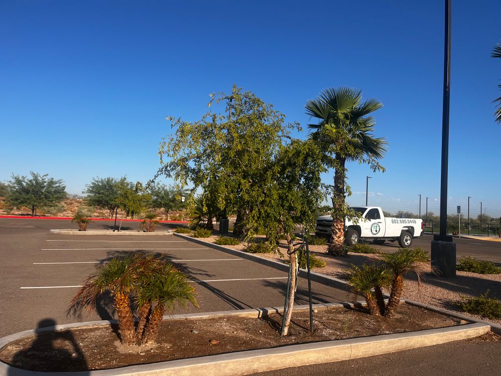 Commercial Gravel Installation for AZ Tree & Hardscape Co in Surprise, AZ