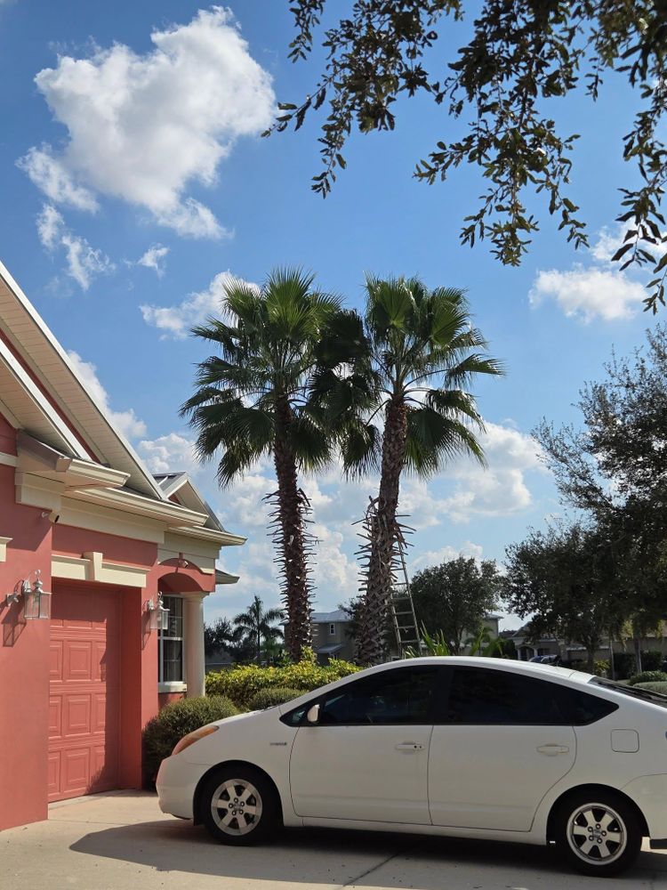 All Photos for TREE BOYS in Ruskin, FL