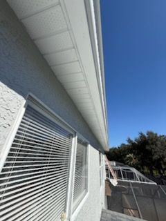 All Photos for Escorpio Painting in Tampa, FL