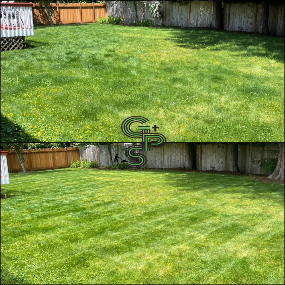 Lawn Care for Golovin Property Services LLC in Marysville, WA