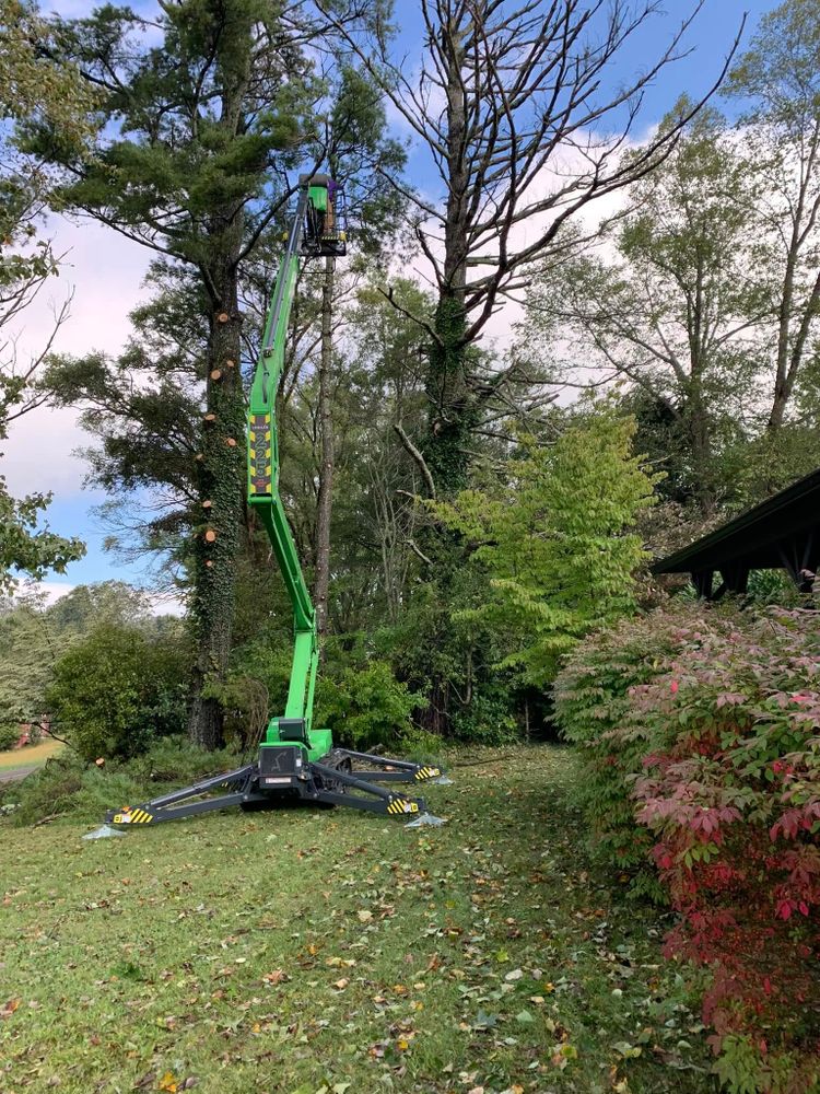 Our Debris Removal service efficiently clears residential sites, ensuring a clean and safe environment. Trust us to handle all types of waste, making your property pristine after any excavation work. for Precision Site Works LLC in Mocksville, NC