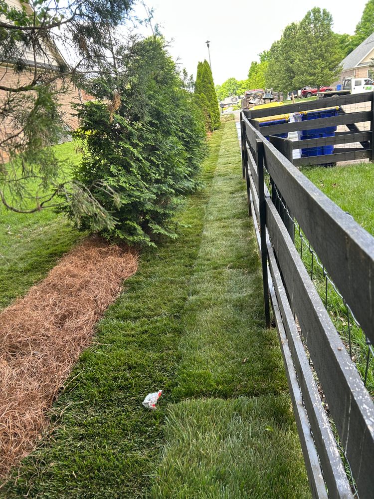 All Photos for Optimum Tree Service And Landscaping in Bowling Green, KY