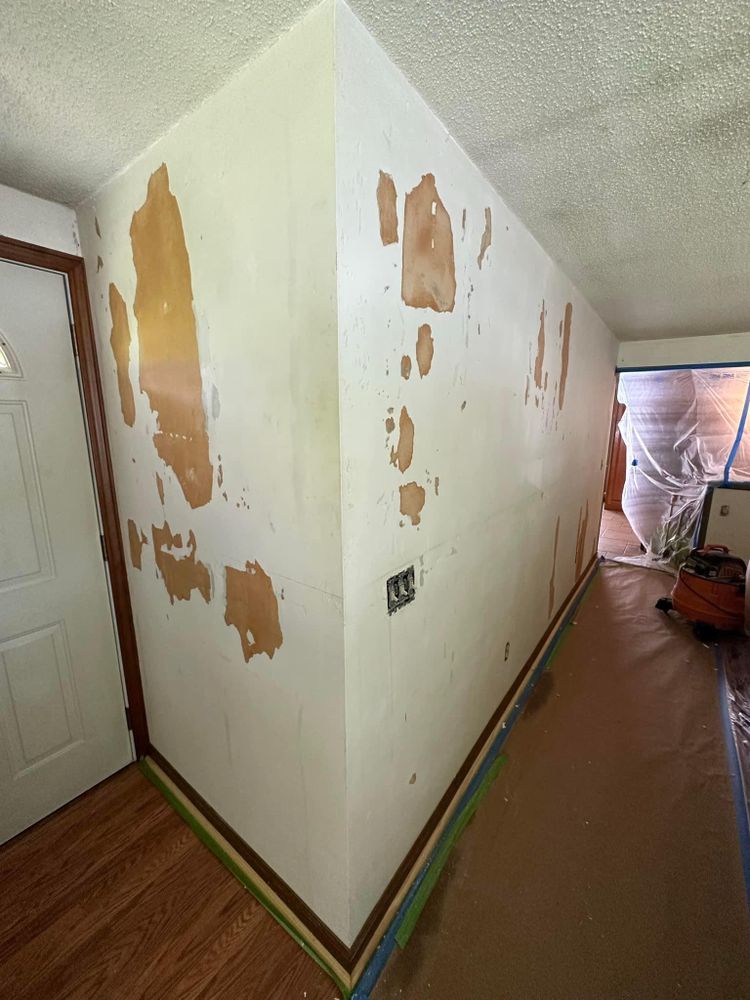 All Photos for Suter & Sons Painting in Amherst, Western Massachusetts