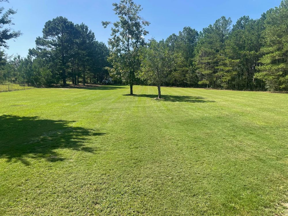 Landscaping for Sparks Landscaping in Augusta, GA