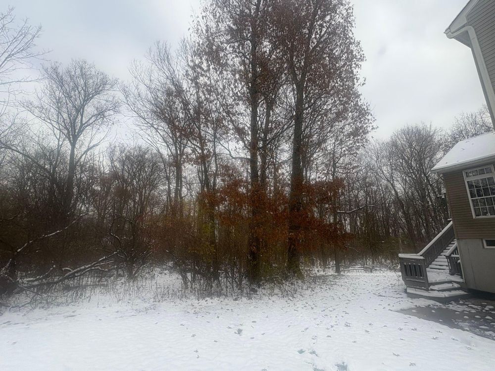 All Photos for Dig-It Tree Company in Mason, OH