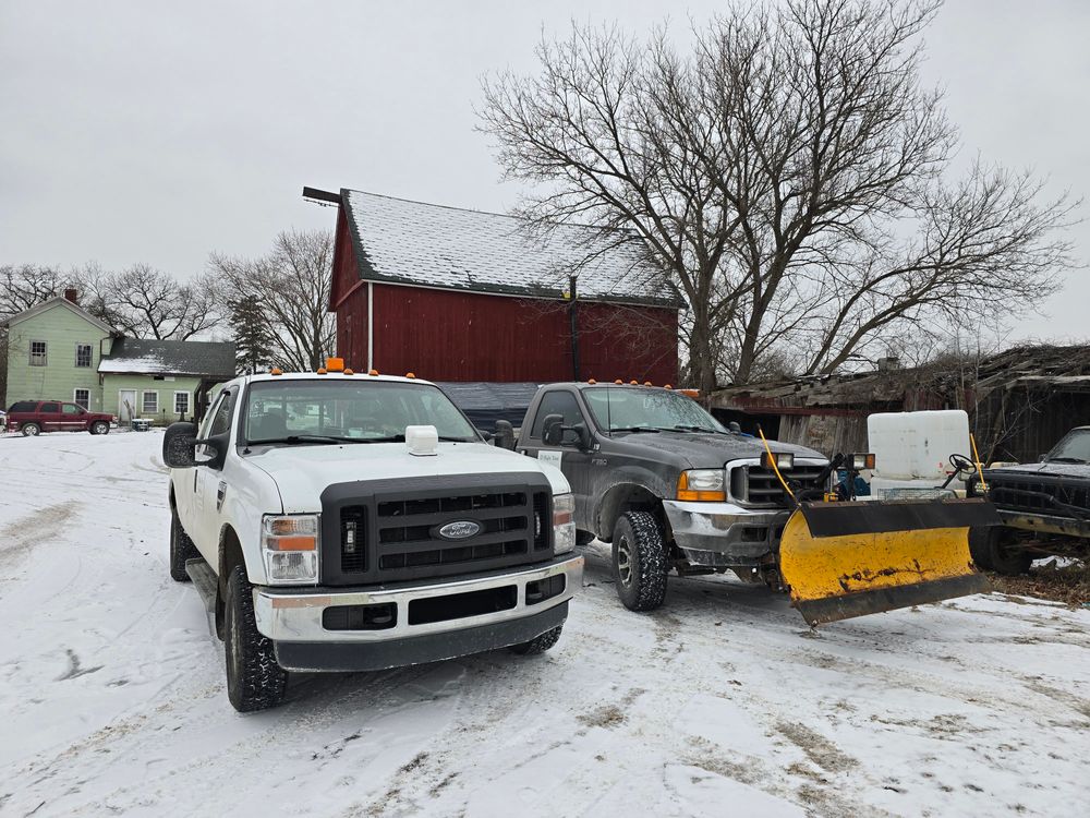 All Photos for D Hale Tree Service in Ann Arbor, MI