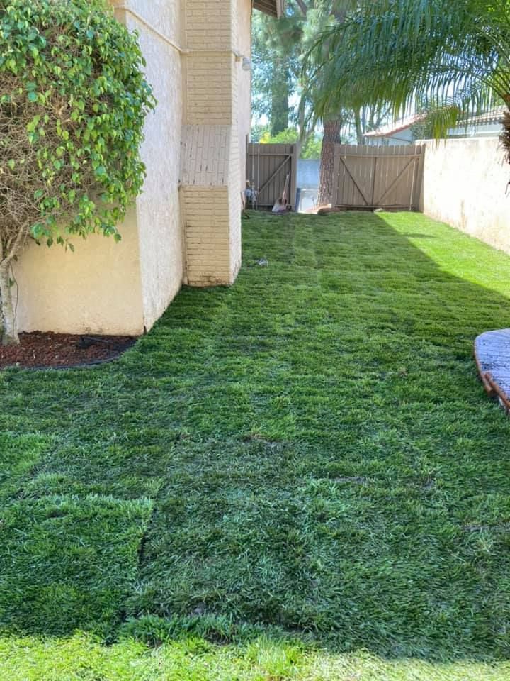 All Photos for Green Planet Services in La Habra Heights, CA