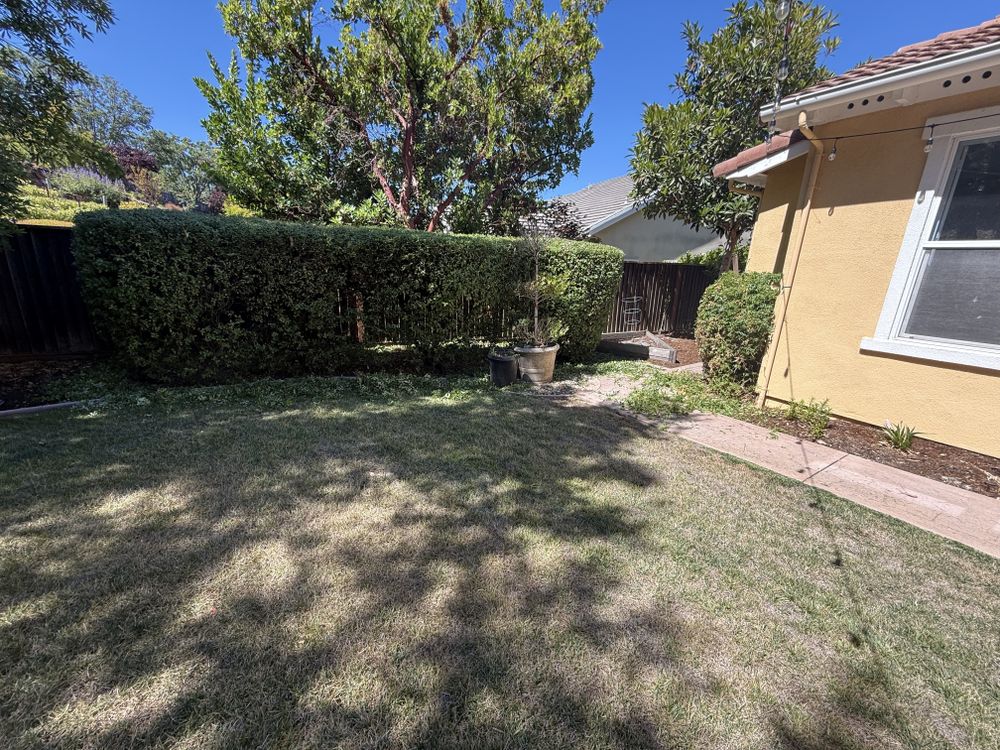 All Photos for CBA Landscaping in Hayward, CA