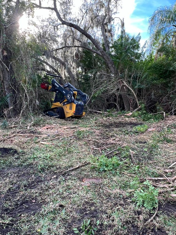 Tree Removal for TREE BOYS in Ruskin, FL