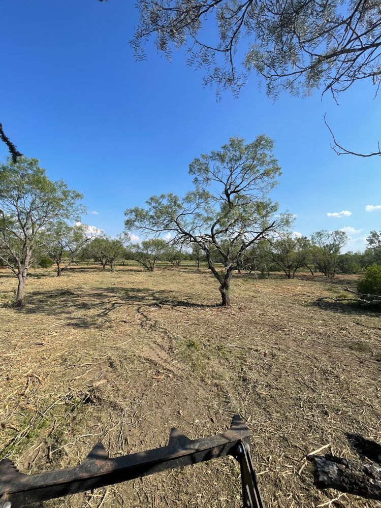 Our Forestry Mulching service efficiently clears overgrown land by shredding vegetation into mulch, enhancing soil quality and preparing the area for future projects without damaging surrounding landscapes. for TS Land Mangement in Bigfoot, TX