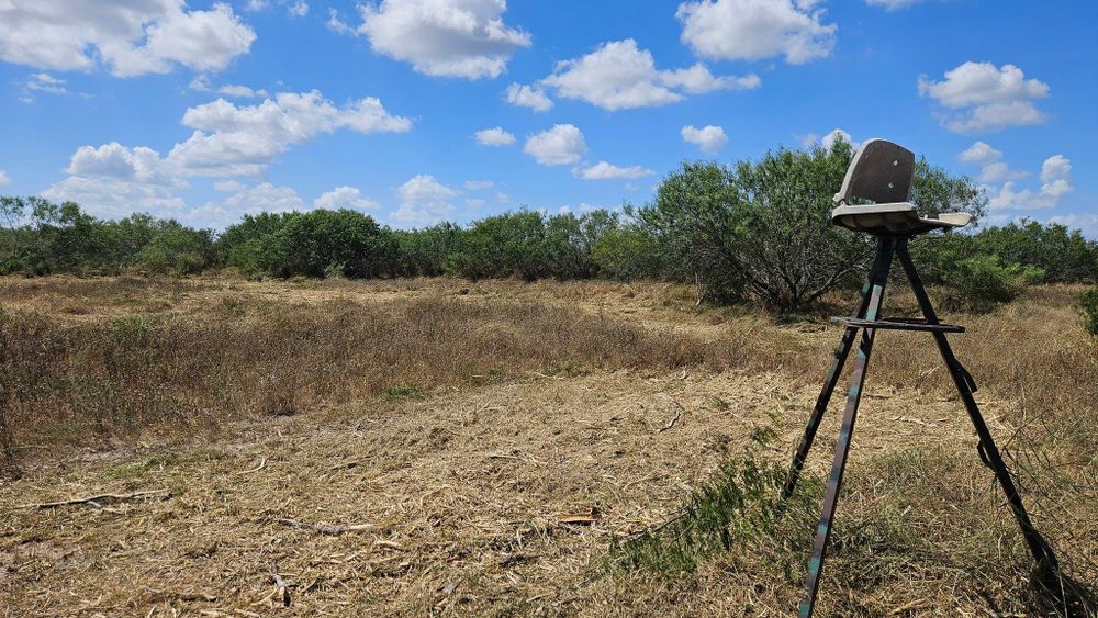 All Photos for Hernandez Land Clearing Services in Alice, TX