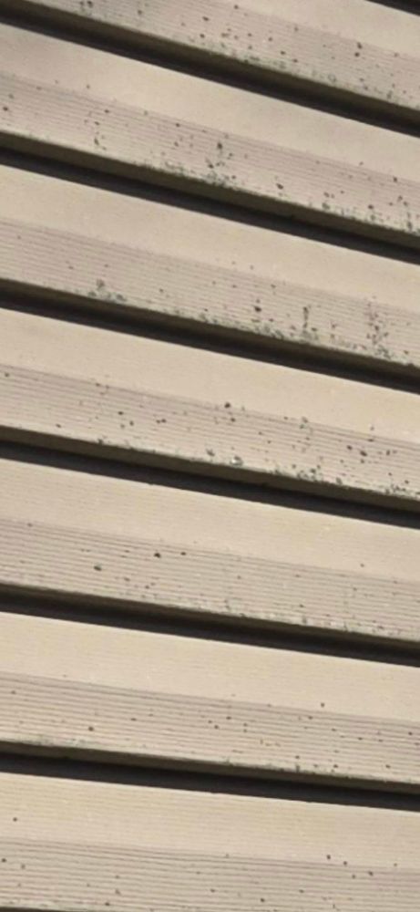 All Photos for Valley pro pressure washing in Rushville, IN