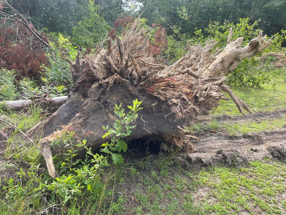 Excavating for Iron Industries in Bluffton, SC