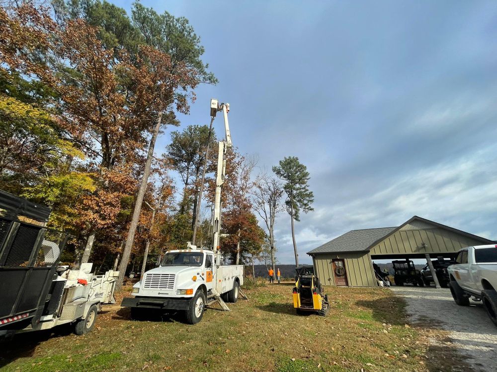 All Photos for Ross Family Tree Service LLC  in Hohenwald, TN